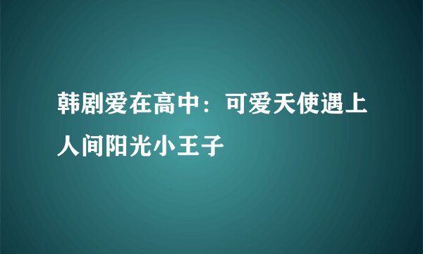 韩剧爱在高中：可爱天使遇上人间阳光小王子