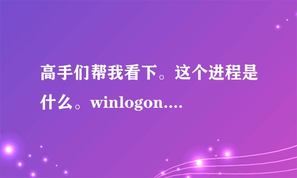 高手们帮我看下。这个进程是什么。winlogon.exe 一直占用我30%-50%的内存。电脑非常卡。