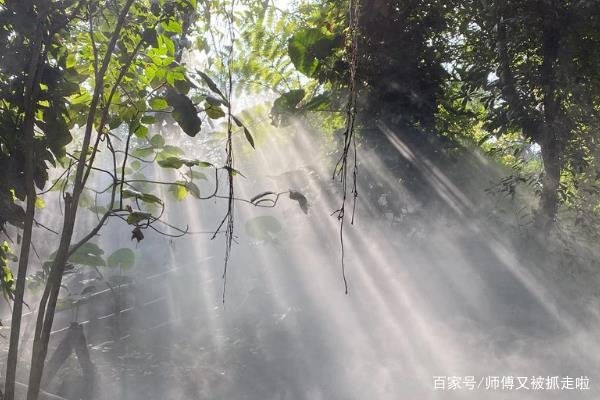 济南上空出现了一片耀眼的散射光，你知道这就是丁达尔效应吗？