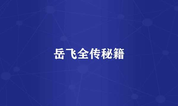 岳飞全传秘籍