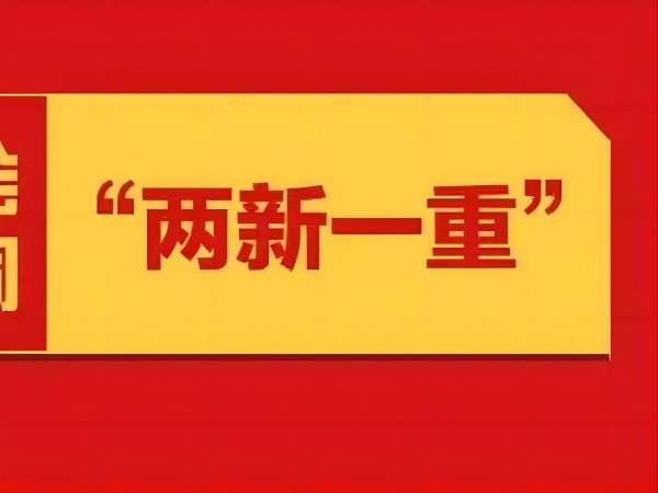 两新一重是指