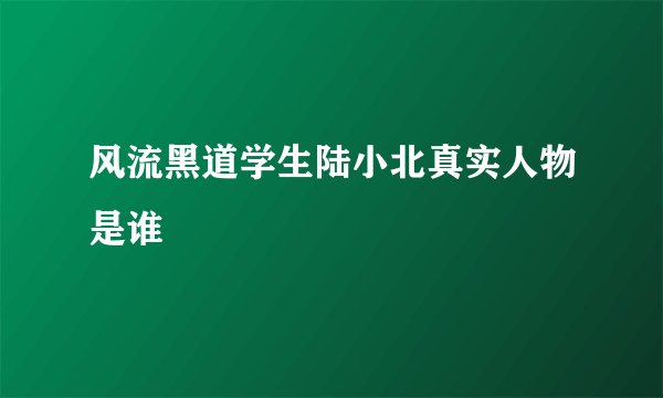 风流黑道学生陆小北真实人物是谁