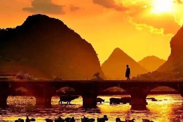 风景独好上一句是什么