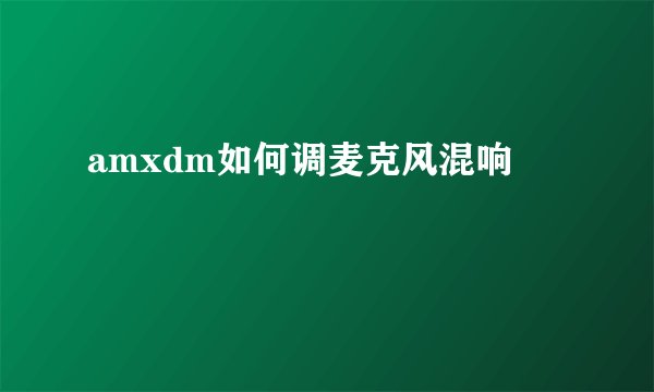 amxdm如何调麦克风混响