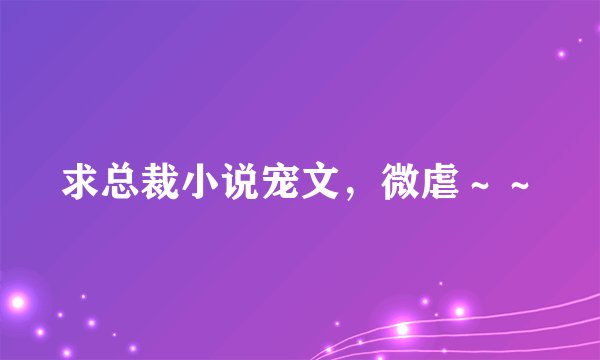 求总裁小说宠文，微虐～～