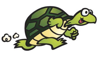 乌龟为什么走得慢？