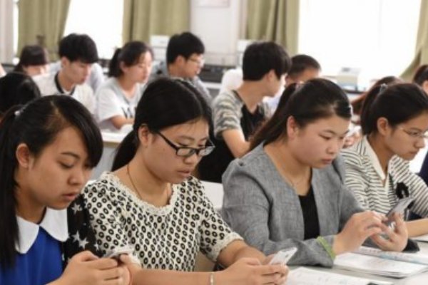 什么动物严父慈母