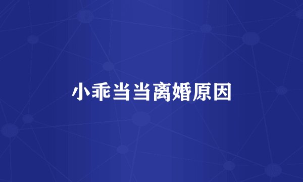 小乖当当离婚原因