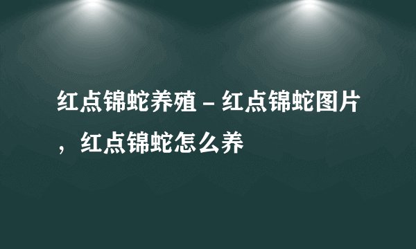 红点锦蛇养殖－红点锦蛇图片，红点锦蛇怎么养