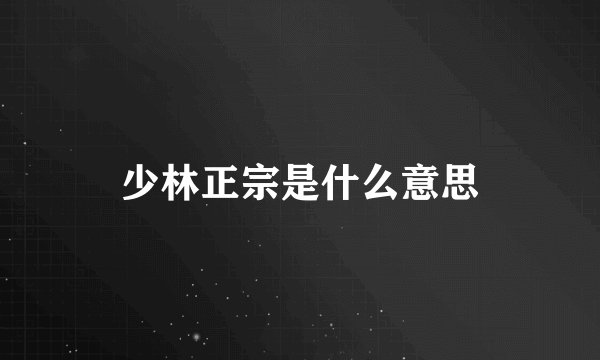 少林正宗是什么意思