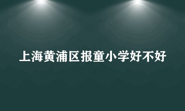 上海黄浦区报童小学好不好