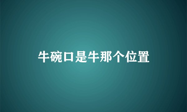 牛碗口是牛那个位置