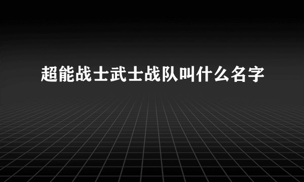 超能战士武士战队叫什么名字