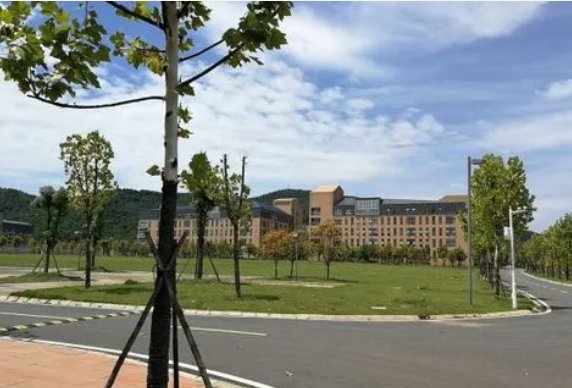 武汉大学珞珈学院是几本?