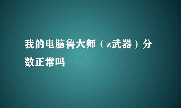 我的电脑鲁大师（z武器）分数正常吗