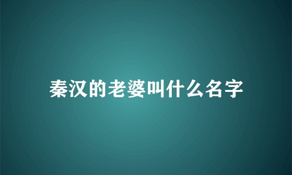 秦汉的老婆叫什么名字