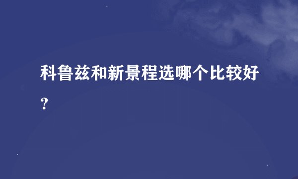 科鲁兹和新景程选哪个比较好？