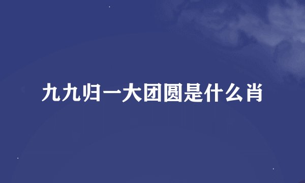 九九归一大团圆是什么肖