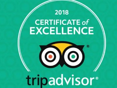 旅游网站排行榜前十名