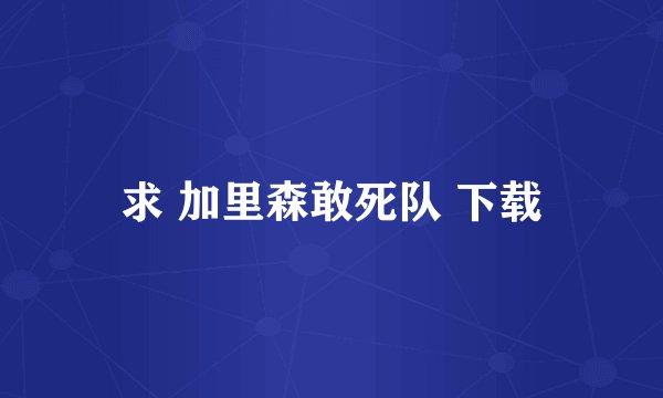 求 加里森敢死队 下载