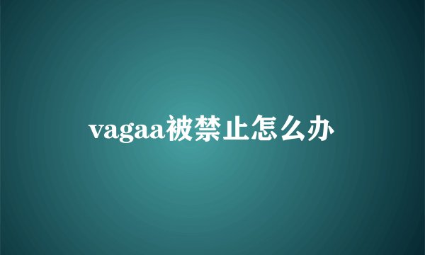 vagaa被禁止怎么办