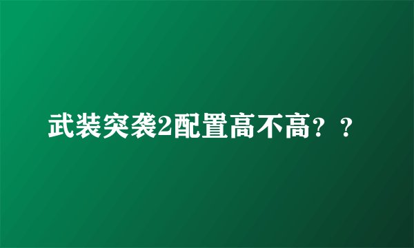 武装突袭2配置高不高？？
