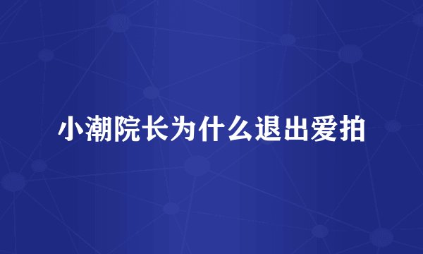 小潮院长为什么退出爱拍