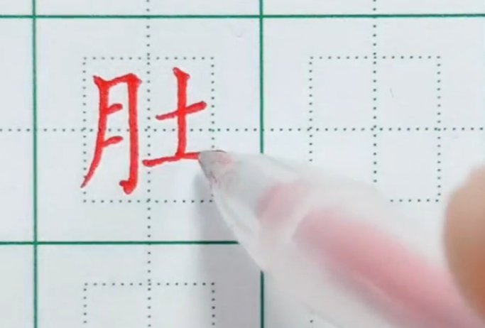 肚字田字格正确写法
