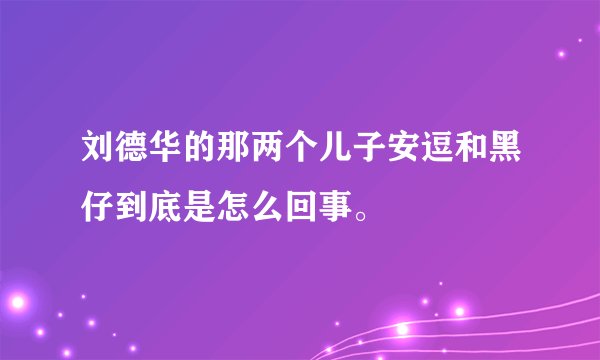 刘德华的那两个儿子安逗和黑仔到底是怎么回事。