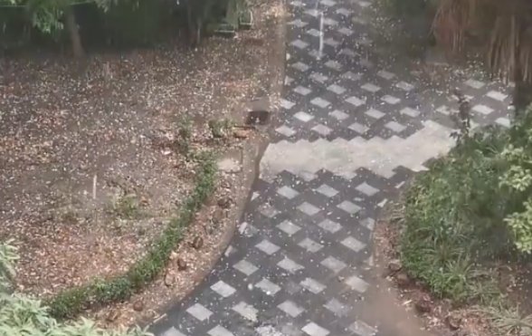 上海多地突降冰雹：大小宛若鸡蛋，冰雹天气会带来哪些问题？