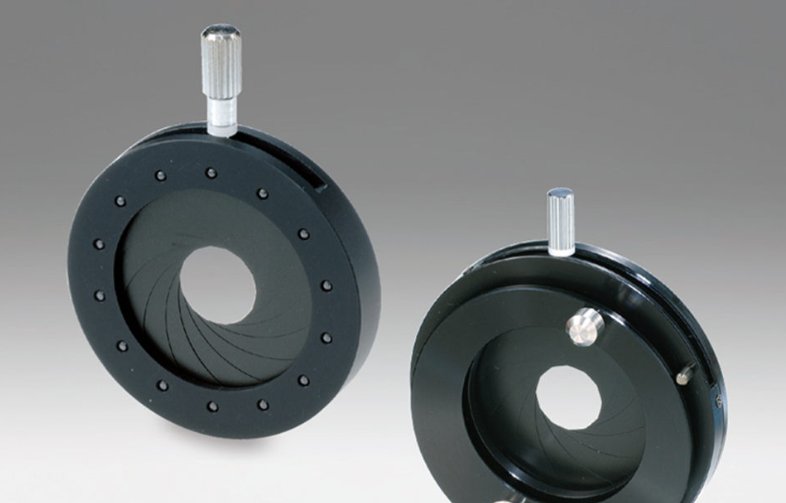 阑怎么读什么意思