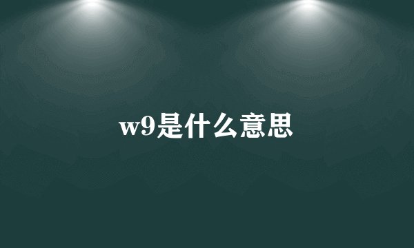 w9是什么意思
