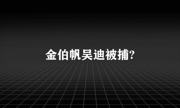 金伯帆吴迪被捕?