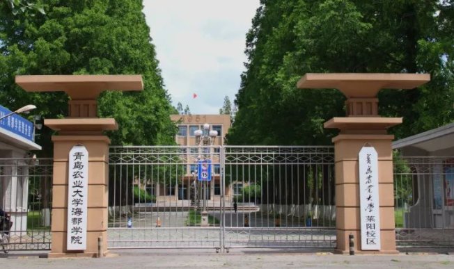 青岛农业大学海都学院如何？