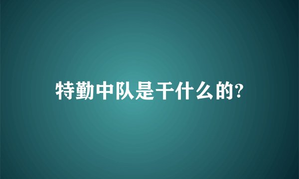 特勤中队是干什么的?
