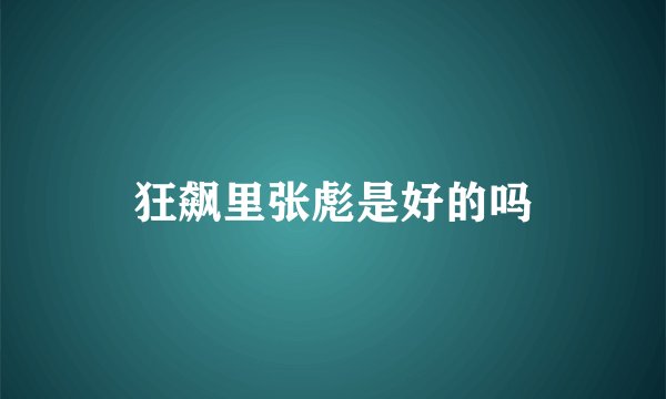 狂飙里张彪是好的吗