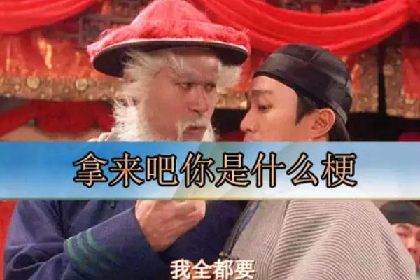 拿来吧你是什么梗