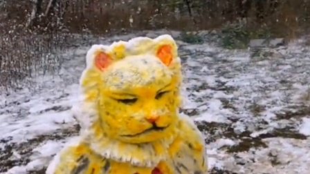 云南四人用时2小时堆出金钱豹雪人，你如何评价这个雪人？