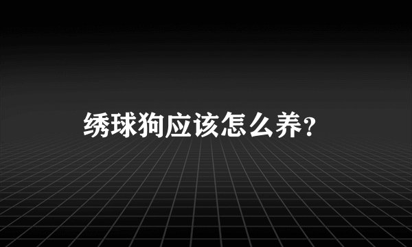 绣球狗应该怎么养？