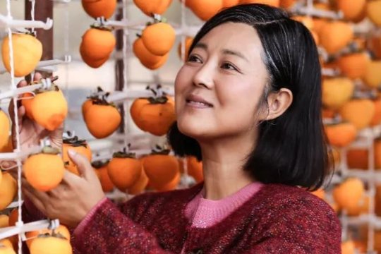 岁岁年年柿柿红剧情分集介绍