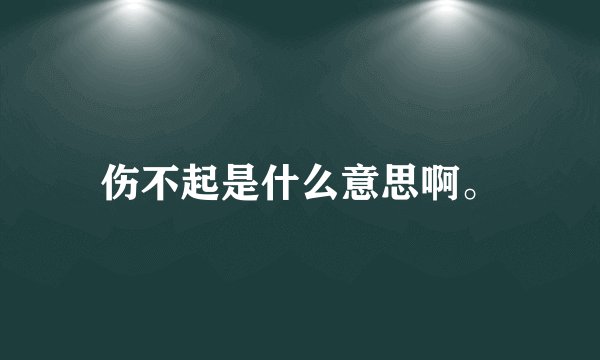 伤不起是什么意思啊。