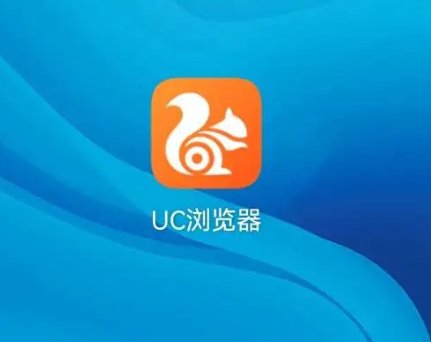 什么手机浏览器可以无视网站的限制呢？