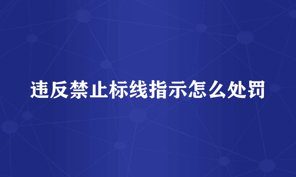 违反禁止标线指示怎么处罚