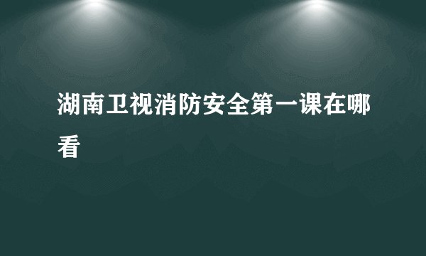湖南卫视消防安全第一课在哪看