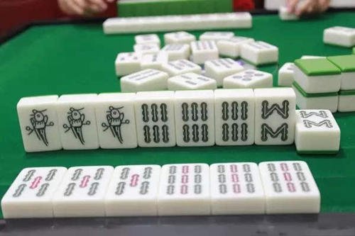 天天打麻将的女人是什么样的女人?