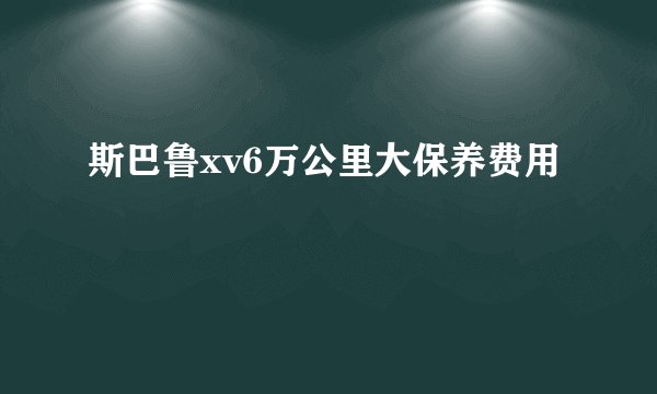 斯巴鲁xv6万公里大保养费用