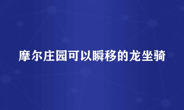 摩尔庄园可以瞬移的龙坐骑