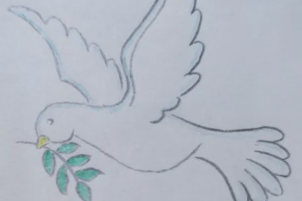 和平鸽怎么画简笔画