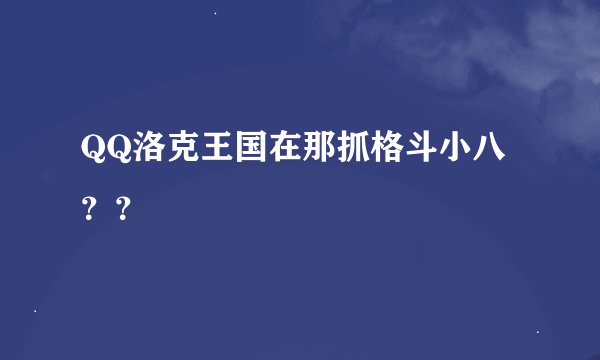 QQ洛克王国在那抓格斗小八？？