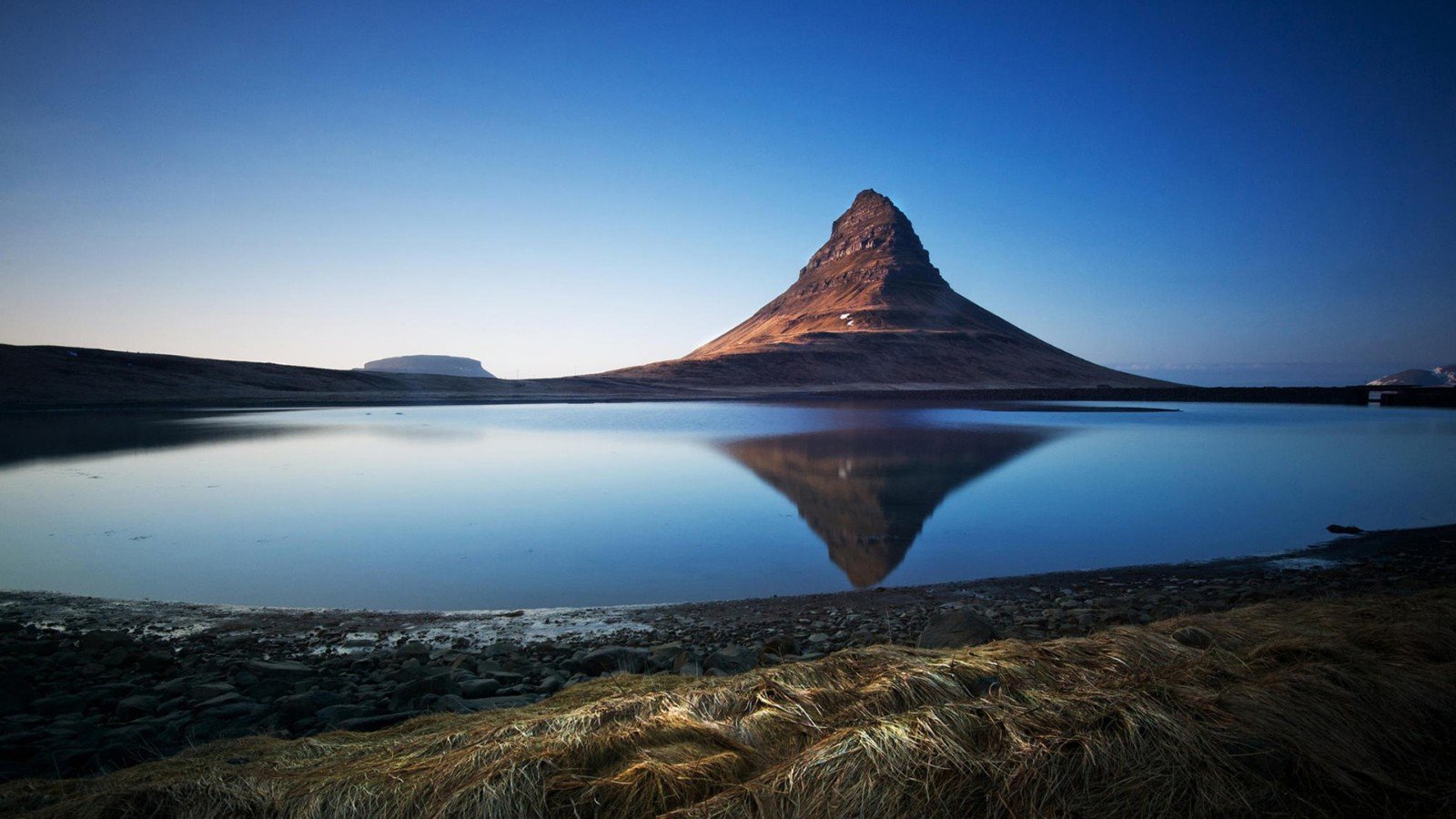 导游强迫多少名游客交易？